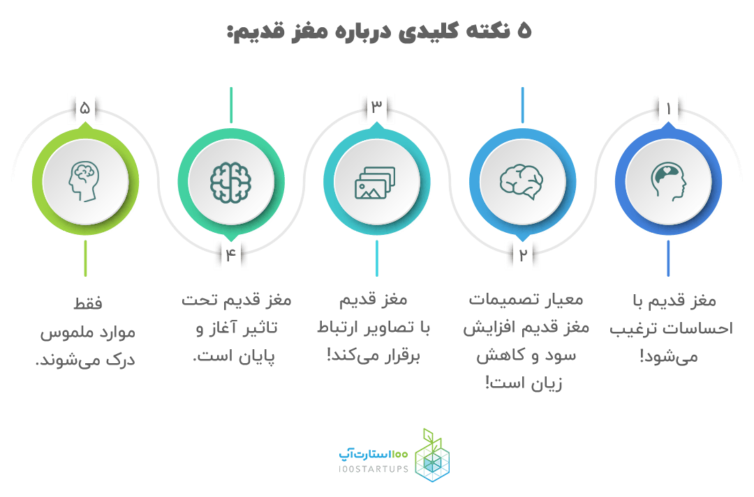 ۵ نکته کلیدی درباره مغز قدیم در مقاله بازاریابی عصبی در سایت 100استارتاپ